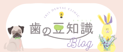 歯の豆知識ブログ